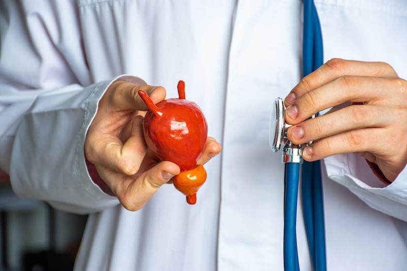 Urology Urology